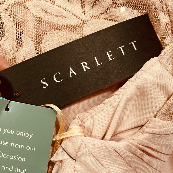 Scarlett Blush Fit & Flare MIDI Dress 6 NWT - Picture 4 of 5